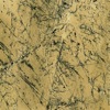 Granite Amarello Granito