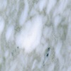 Marmor Bianco Brouille