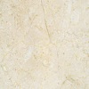 Marble Crema Marfil