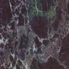 Marble Rosso Antico